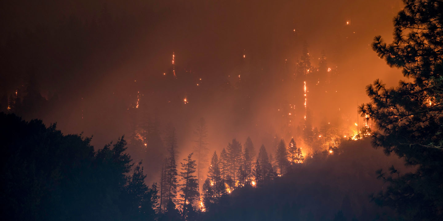 wildfire Wildfire