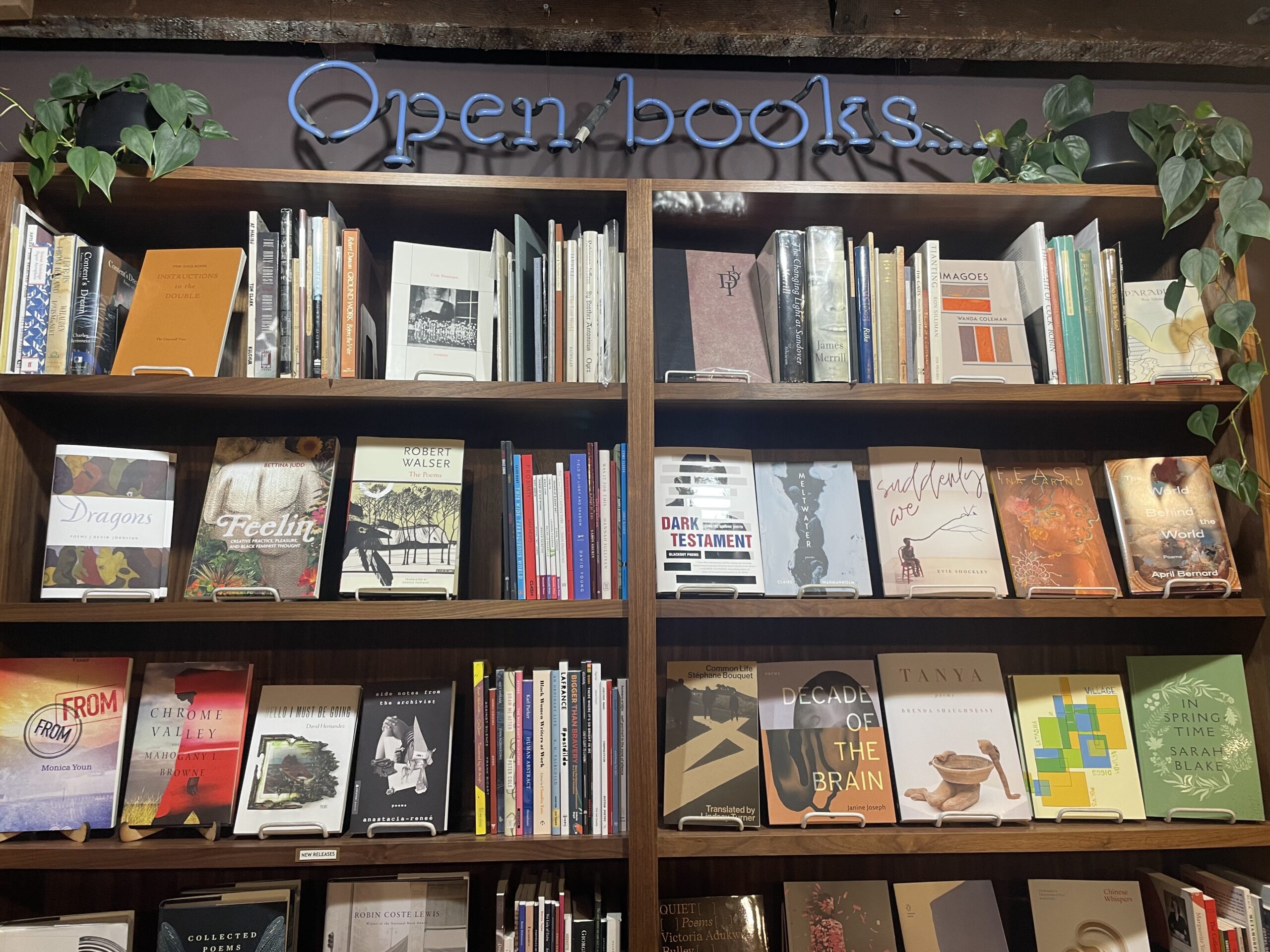 An open bookcase at Open Books