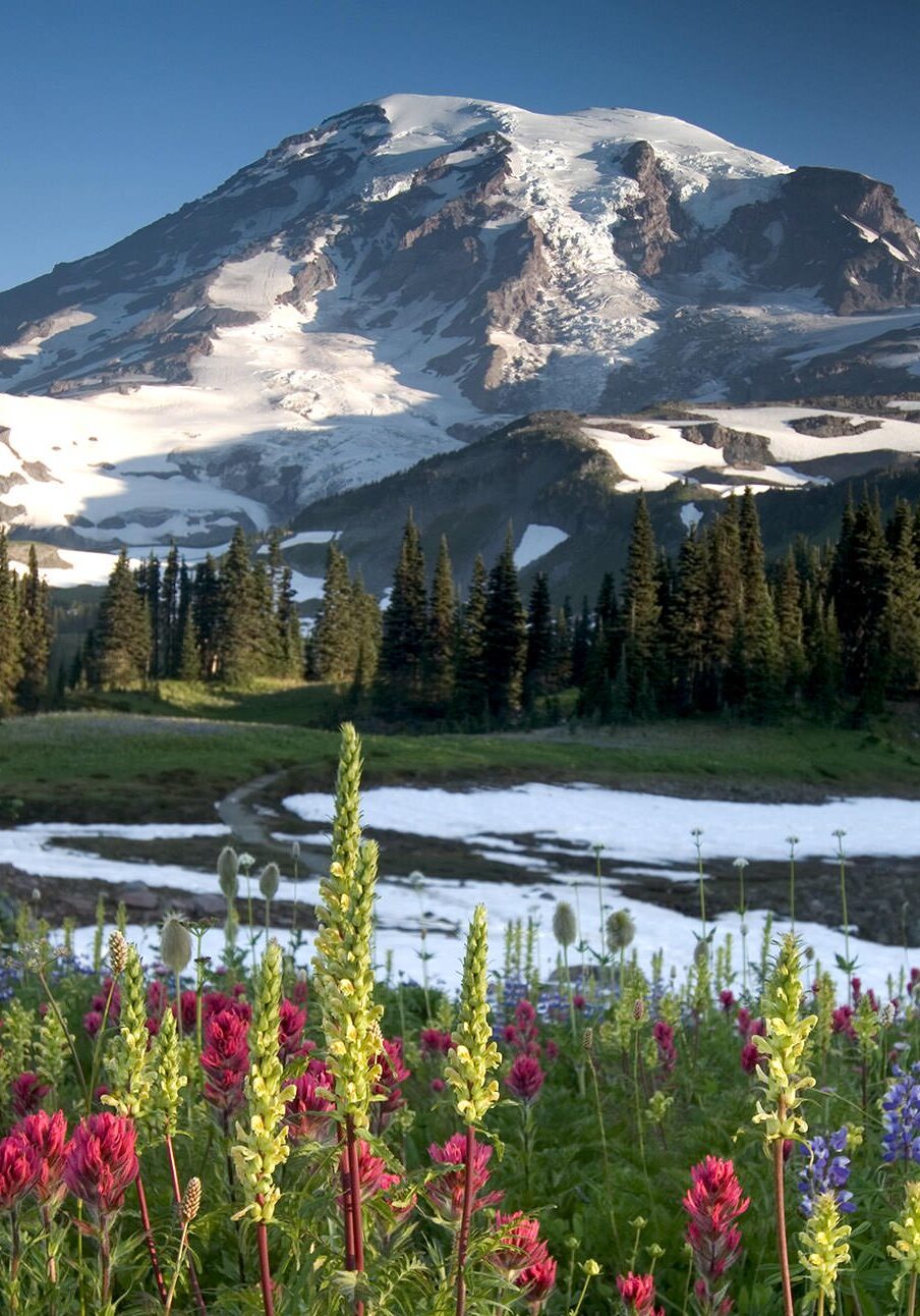 rainier2